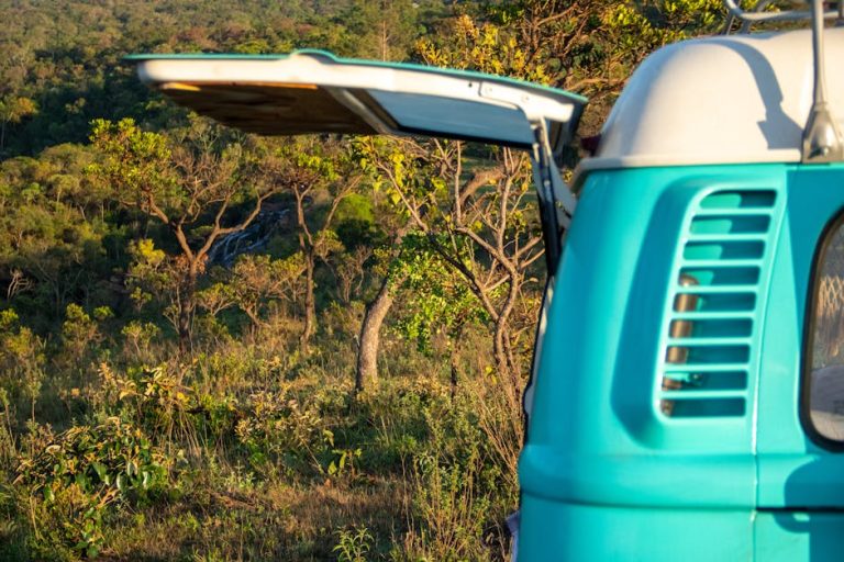 Аренда автодома на Алтае: преимущества и советы