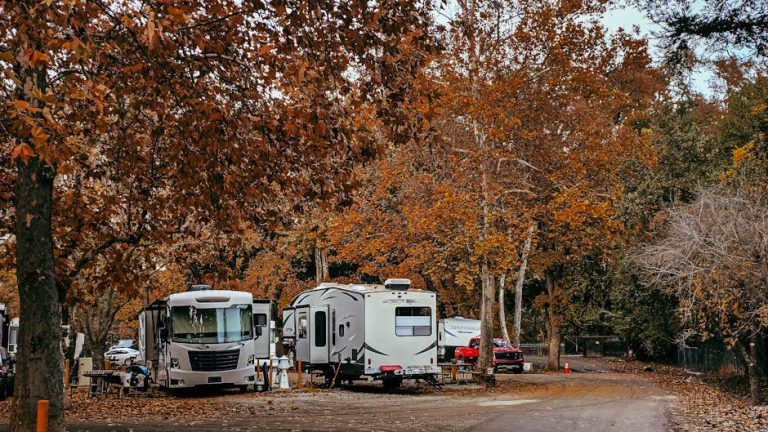 Аренда дома на колесах на Алтае: преимущества и советы