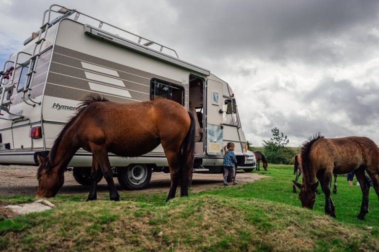 Аренда кемпера на Горном Алтае без посредников
