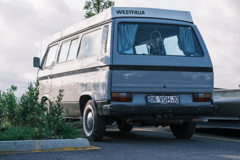 Дом на колесах на Алтае