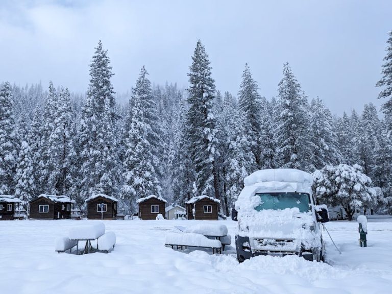 Аренда дома на колесах на Алтае