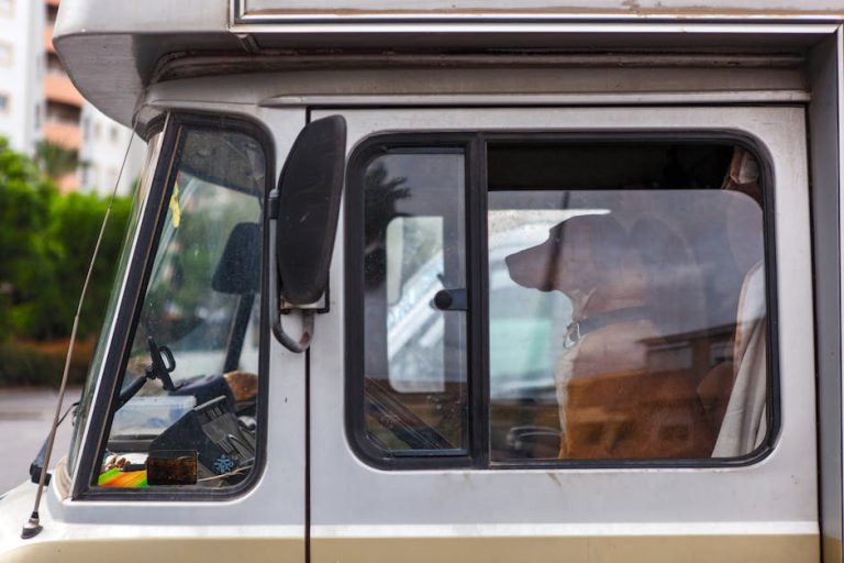 Аренда дома на колесах на Алтае: преимущества и советы
