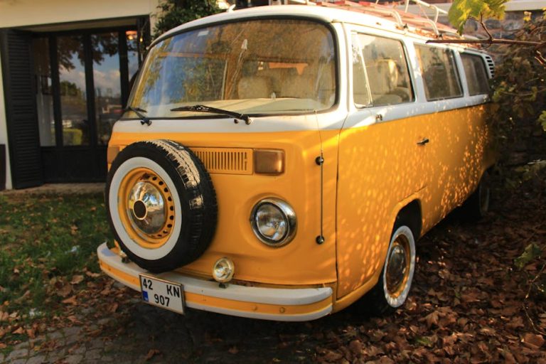 Аренда автодома на Горном Алтае в 2025 году