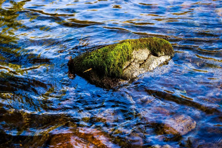 Аренда автодома в Барнауле для путешествия по Алтаю
