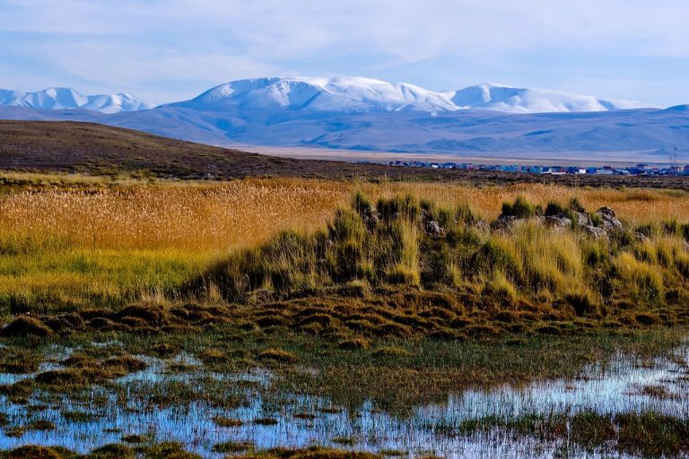 Как снять автодом в Горном Алтае онлайн
