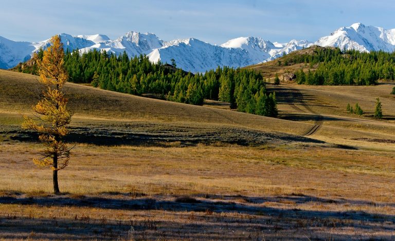 Бронирование внедорожника с палаткой на Алтай в 2025 году