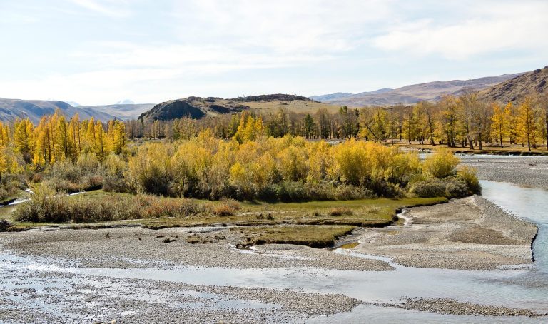 Прокат домов на колесах на Алтае