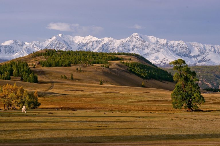 Аренда автомобиля с палаткой на Кольском полуострове онлайн