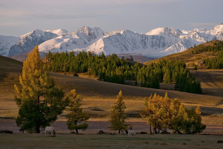 Путешествие на автодоме по Кавказу в 2025 году