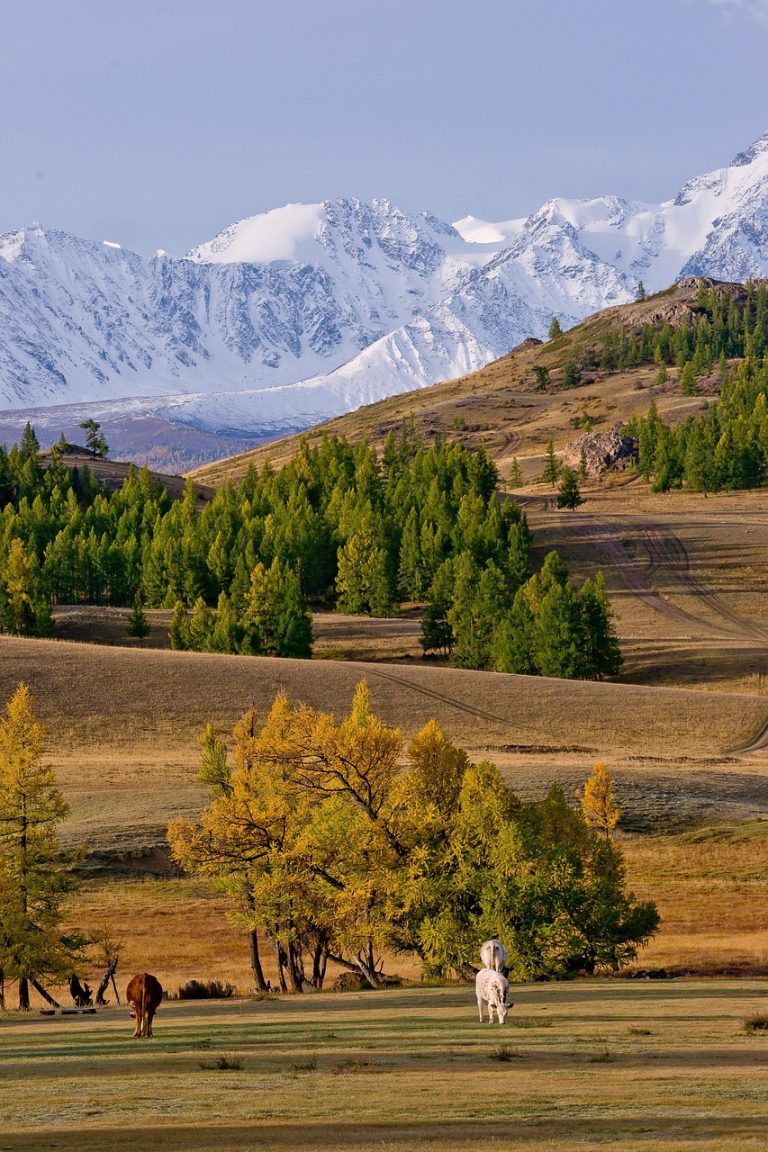 Прокат автодома в Барнауле для путешествия по Алтаю