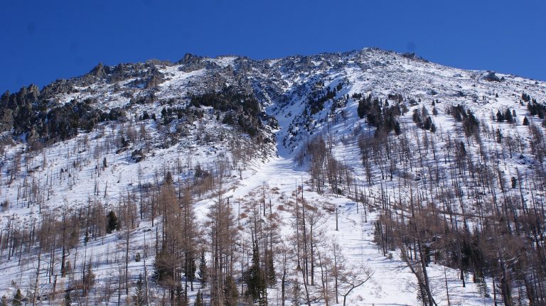 Аренда дома на колесах для путешествия на Алтай из Новосибирска