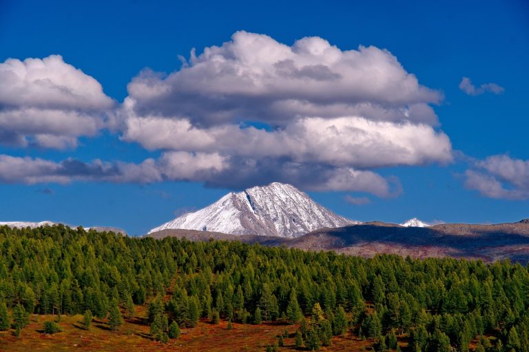 Автосалон Алтай Автодом в Барнауле – ваш надежный партнер в мире автомобилей