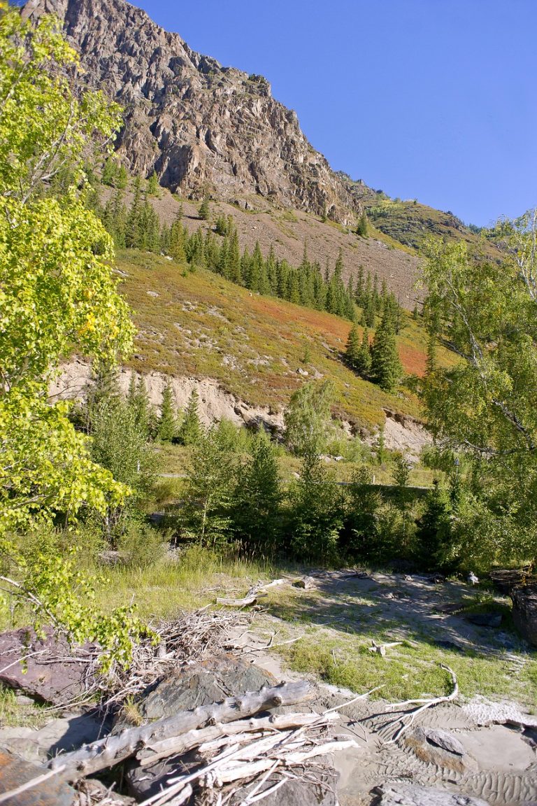 Недорогие автодома на базе машин для путешествий по Алтаю