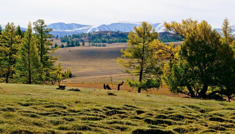 Аренда автодома на Алтае: стоимость и советы перед бронированием