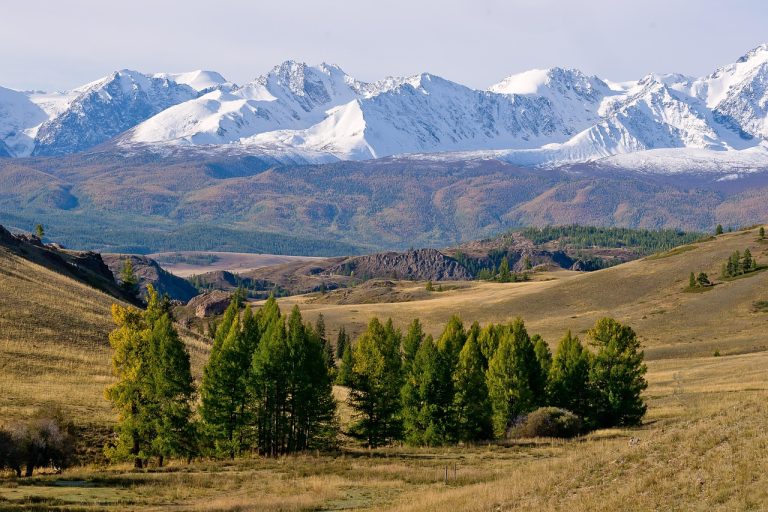 Аренда внедорожника с палаткой на Алтае