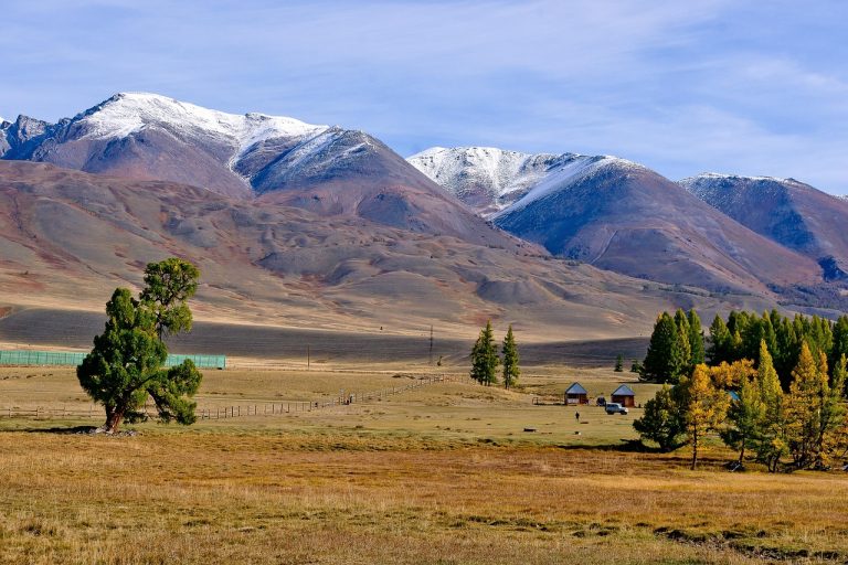 Аренда дома на колесах на Алтае