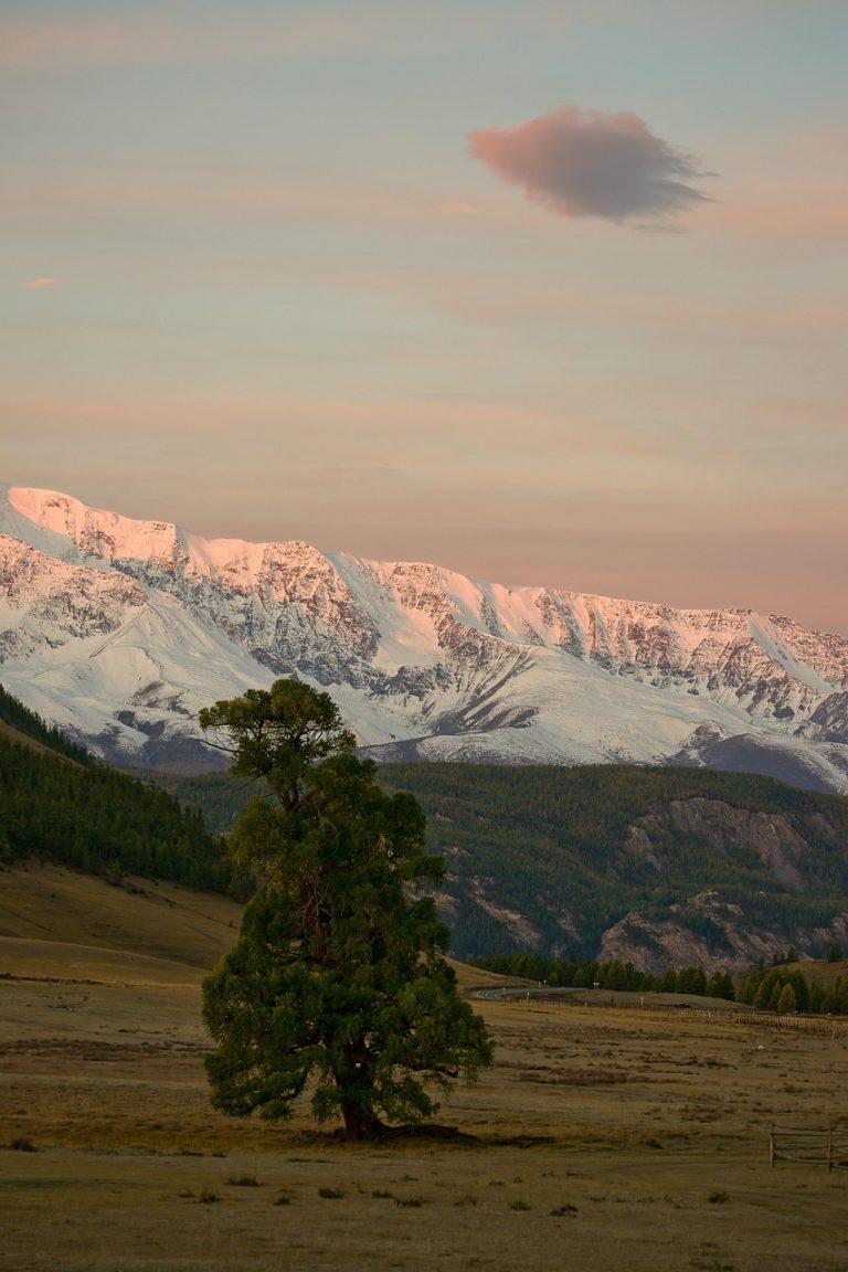 Путешествие на доме на колесах по Алтаю в 2025 году