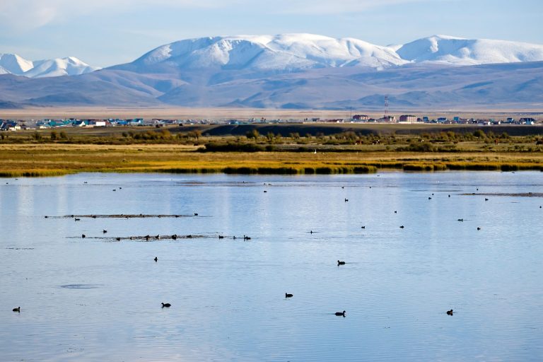 Аренда автомобиля с палаткой на Кольском полуострове