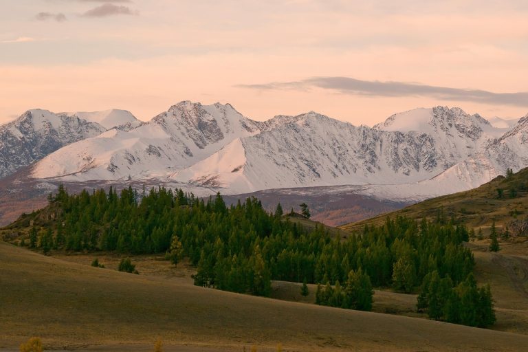 Отдых на Алтае в доме на колесах