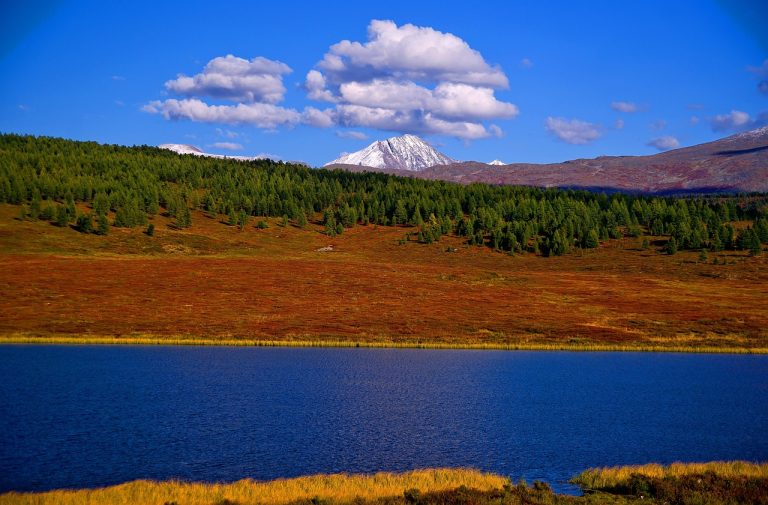 Бронирование дома на колесах на Кавказе онлайн