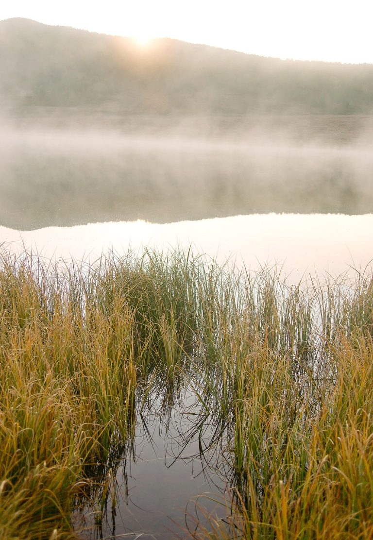 Путешествие по Кавказу на доме на колесах: преимущества и советы