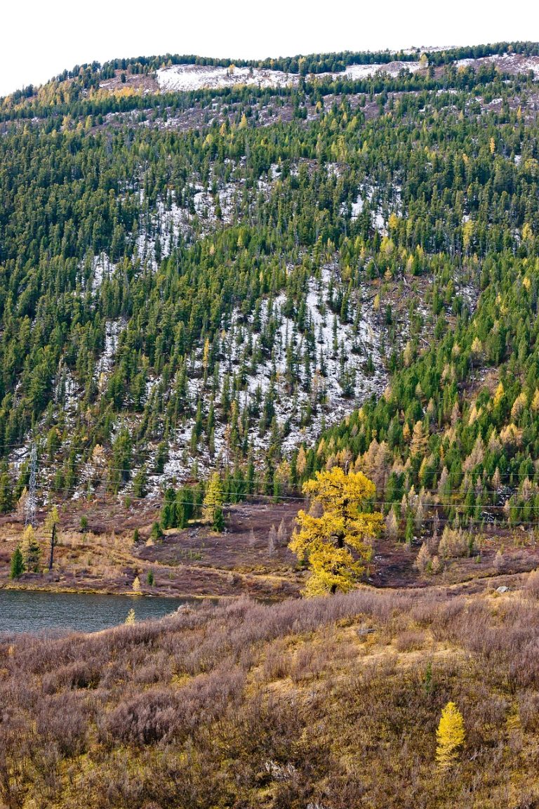Аренда кемпера на Алтае