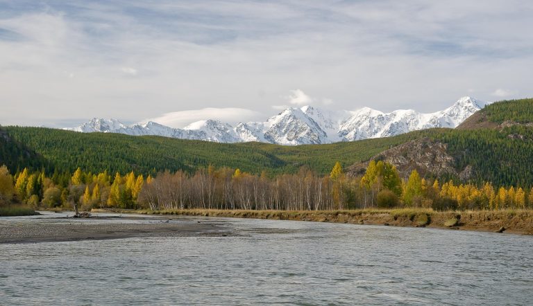 Аренда дома на колесах на Алтае: преимущества и советы