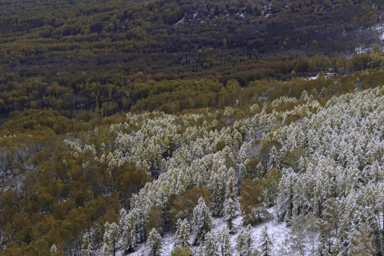 Аренда дома на колесах на Алтае и в Барнауле