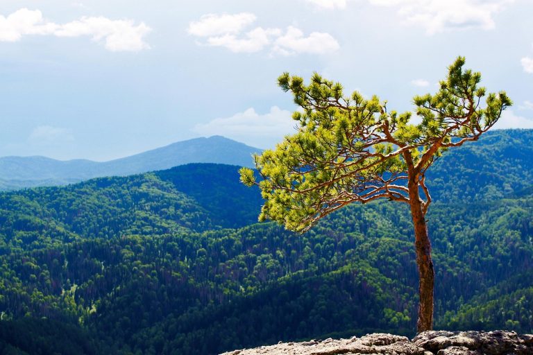 Аренда автодома на Алтае: преимущества и советы