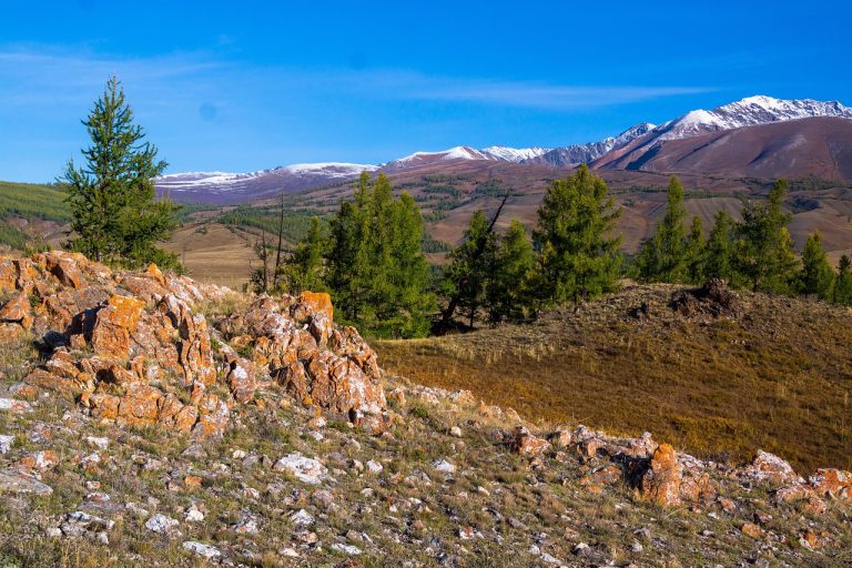 Аренда автодома на Алтае из Новосибирска