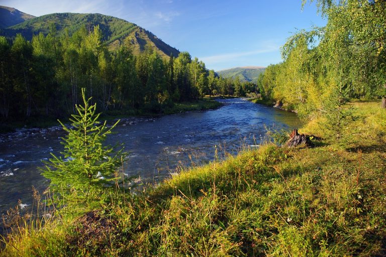Автосалон Алтай Автодом в Барнауле: широкий выбор автомобилей по доступным ценам