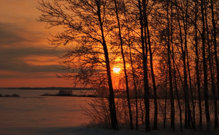 Отзывы о горном автодоме на Алтае