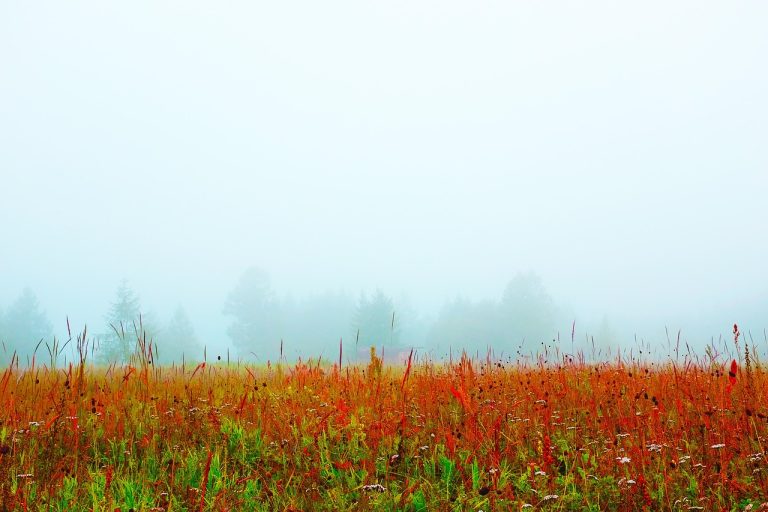 Аренда автодома в Алтай Автодом – путешествие в комфорте и свободе