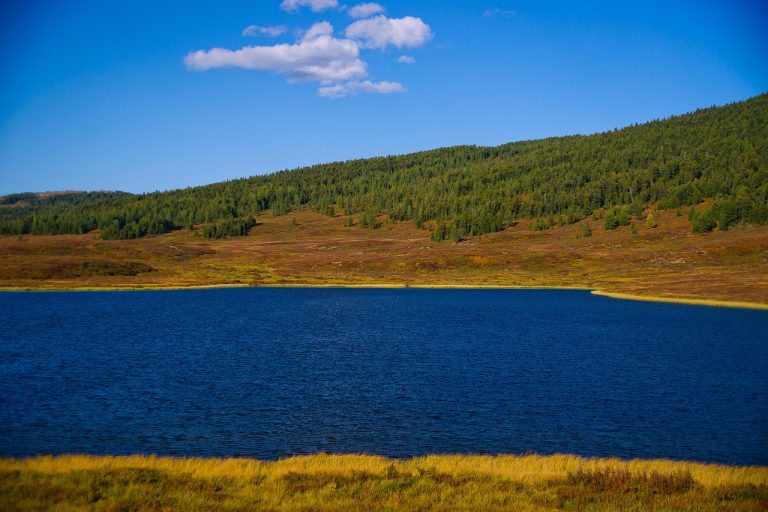Аренда автодома на Алтае: преимущества и советы для путешественников