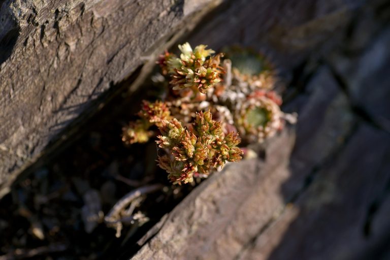 Аренда кемпера на Кольском полуострове цены и советы по бронированию