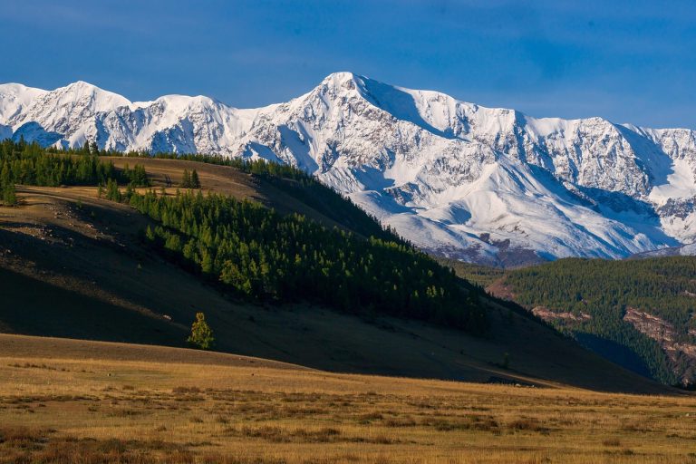 Аренда дома на колесах в Новосибирске и на Алтае