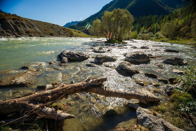 Компания Алтай Автодом – производитель и продавец автодомов и прицепов