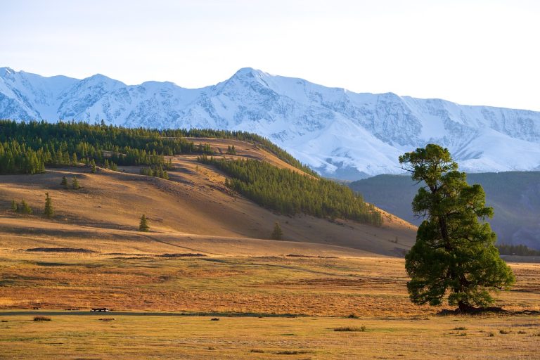 Аренда автодома на Горном Алтае: преимущества, цены и советы