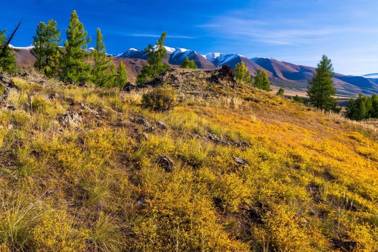 Автосалон Автодом в Новосибирске и путешествие на Алтай на автомобиле