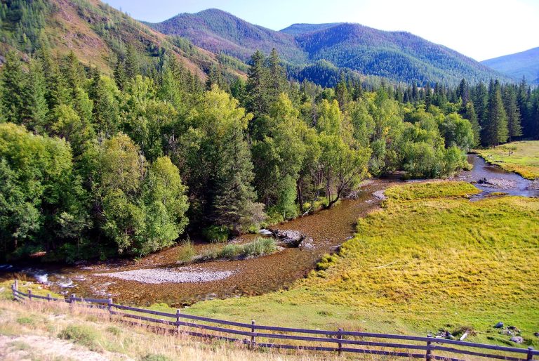 Аренда автодома на Горном Алтае: свобода и комфорт путешествия