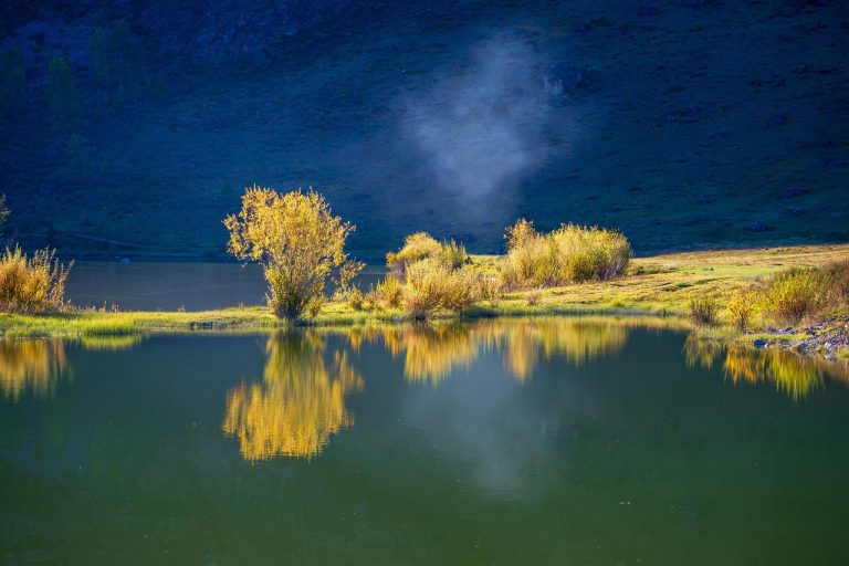 Аренда автодома на Горном Алтае онлайн