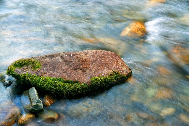 Аренда домов на колесах на Кавказе онлайн