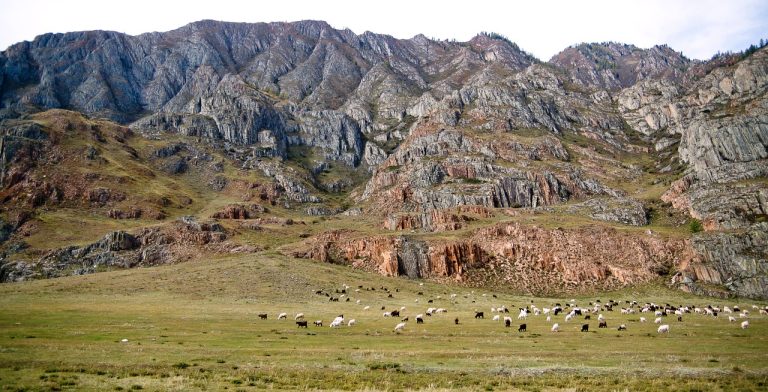 Аренда внедорожника с палаточным снаряжением на Алтае онлайн