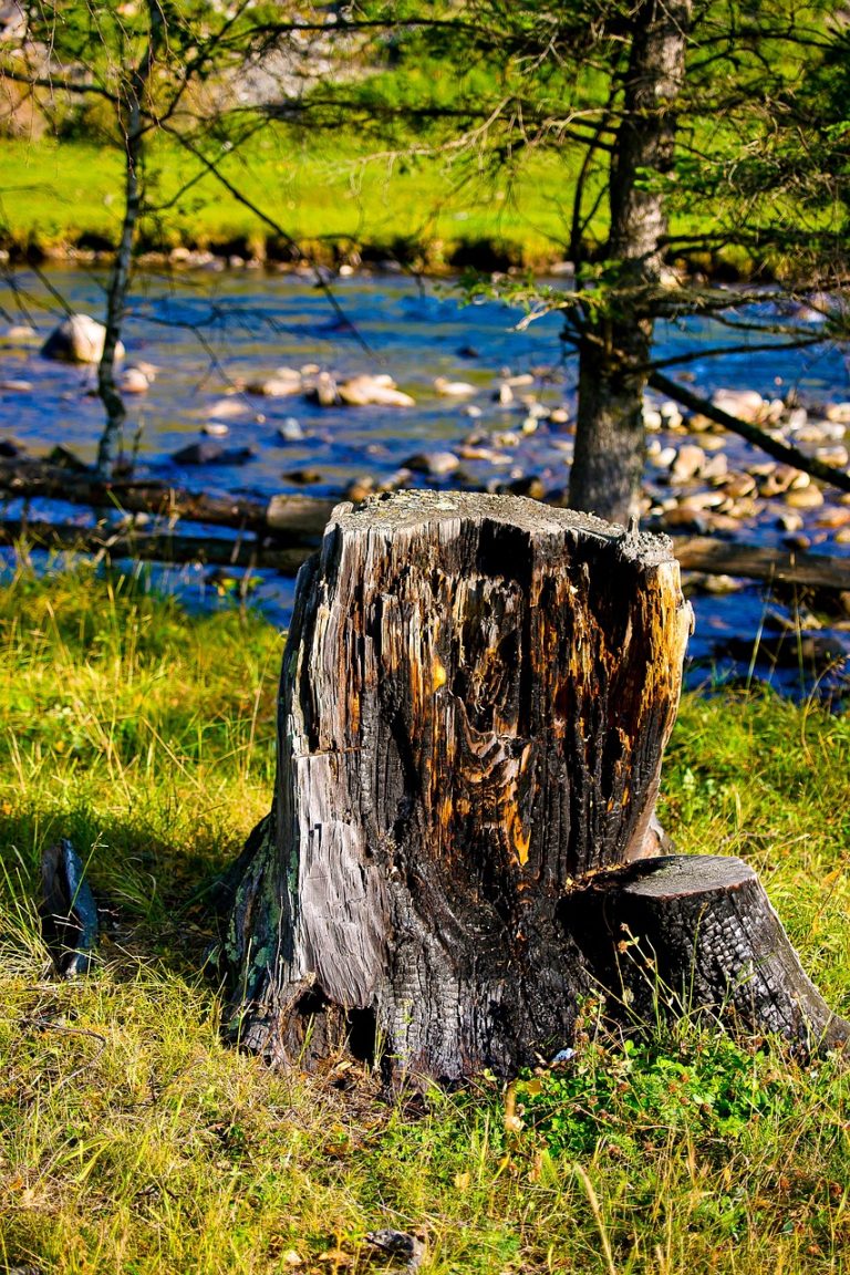 Аренда автомобиля с палаткой на Кавказе без посредников