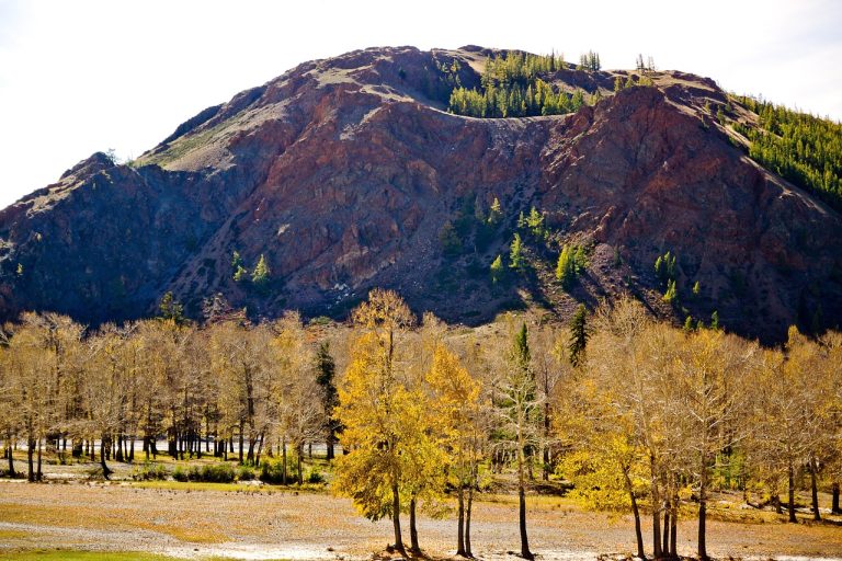 Аренда автомобиля и автодома в Барнауле и Горном Алтае