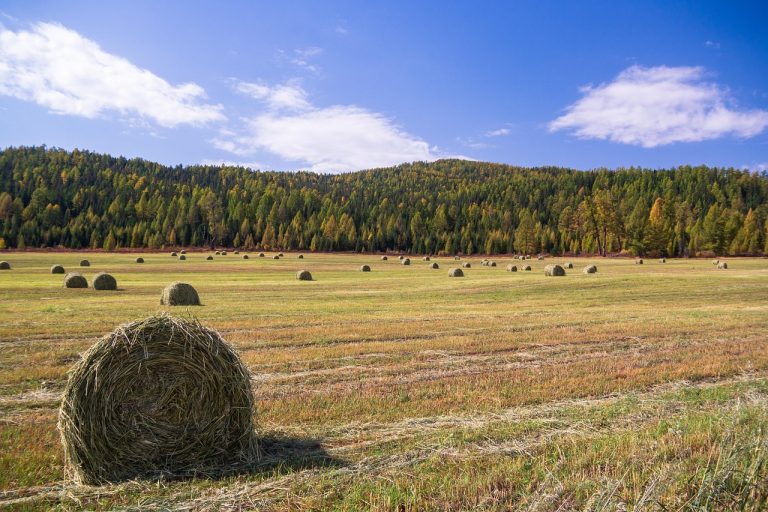 Аренда кемпера в Барнауле для путешествия по Алтаю