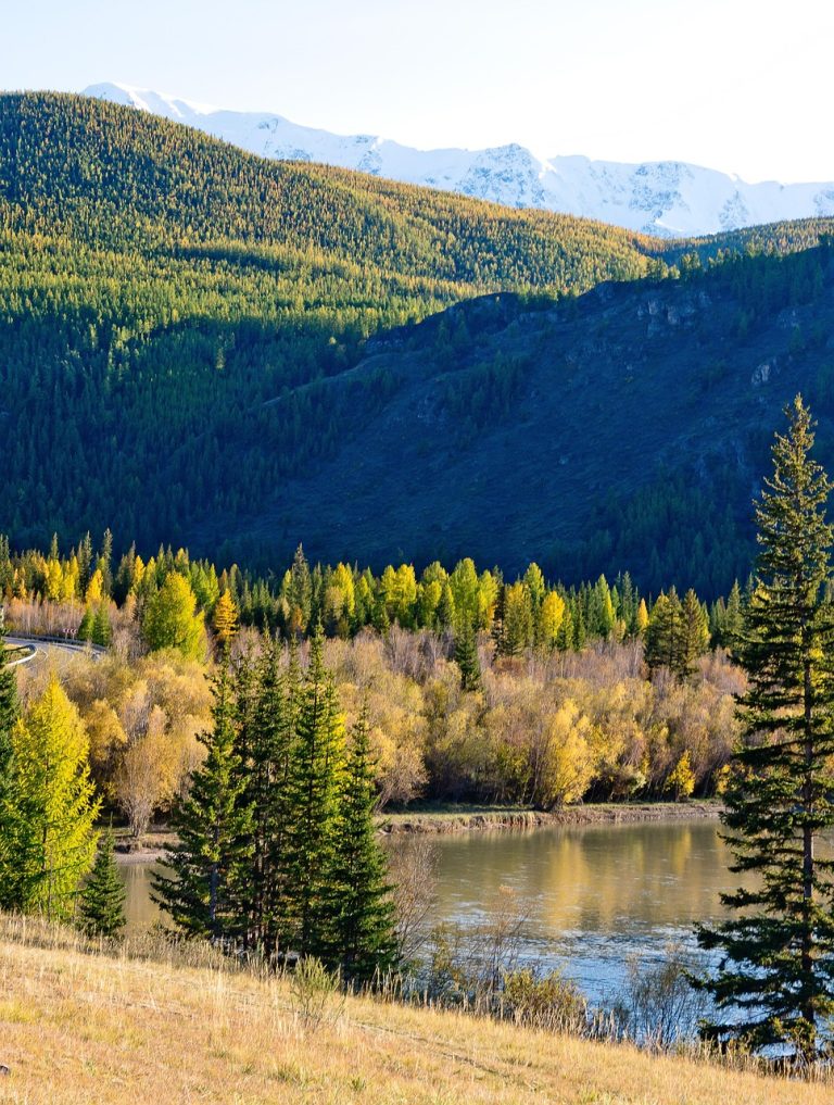 Прокат кемперов на Кавказе в 2025 году